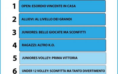 Gazzetta del Velate #36